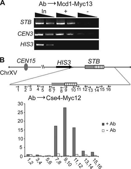 FIG. 9.