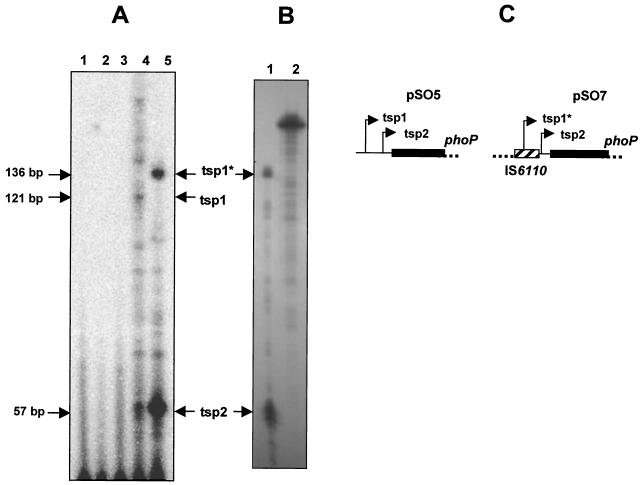 FIG. 5.