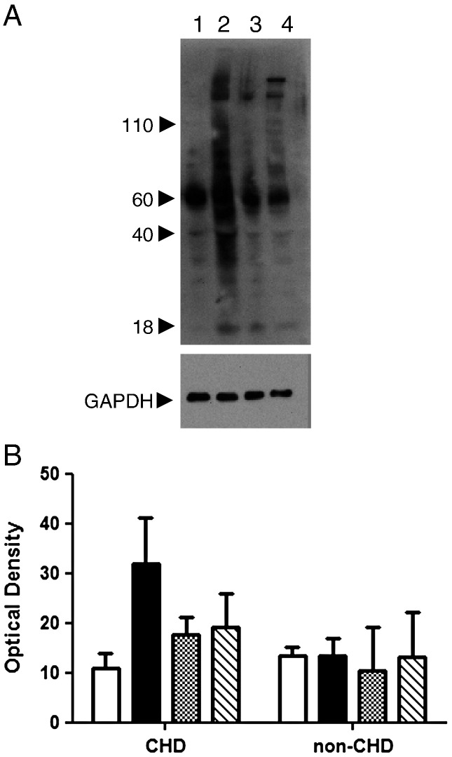 Fig. 4