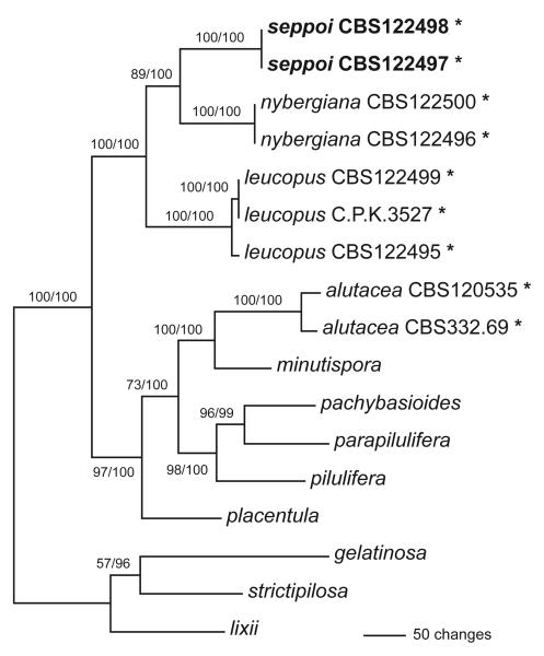 Fig. 2