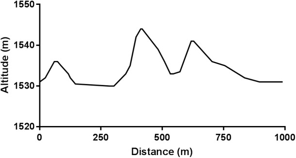 FIGURE 1