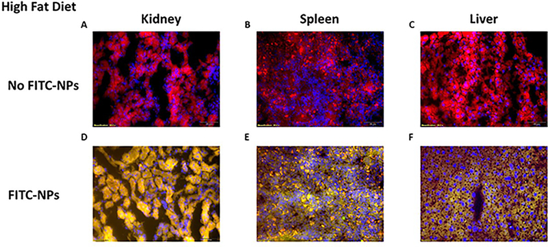 Figure 5: