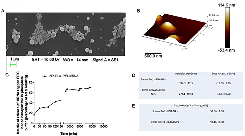 Figure 1: