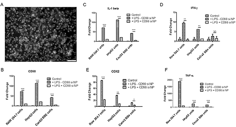 Figure 2: