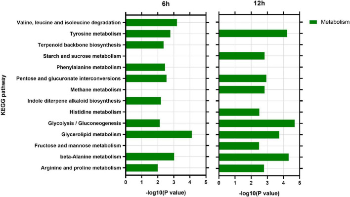 FIGURE 7