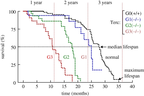 Figure 1.