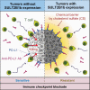 Graphical abstract