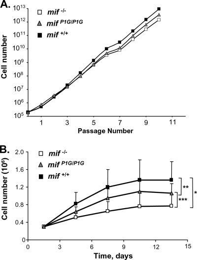 FIG. 5.