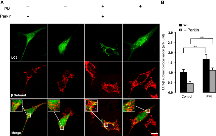 Figure 4