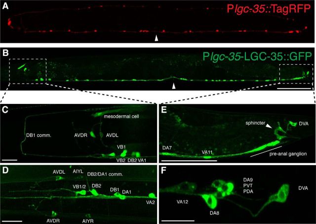 Figure 3.