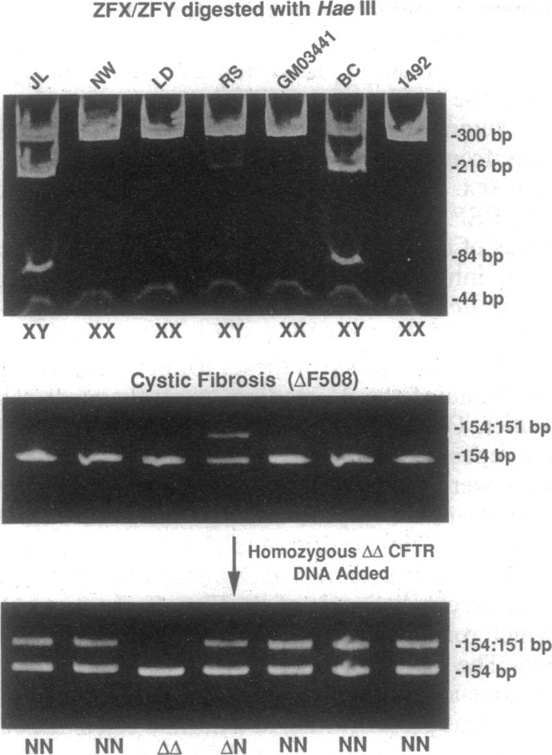 graphic file with name pnas01135-0458-a.jpg