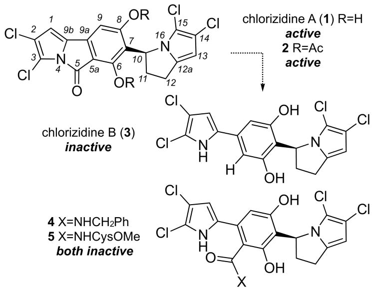 Scheme 1