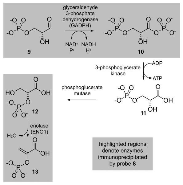 Scheme 3