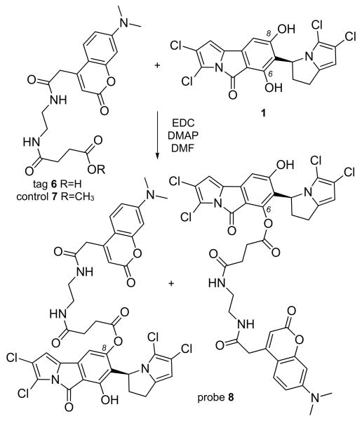 Scheme 2