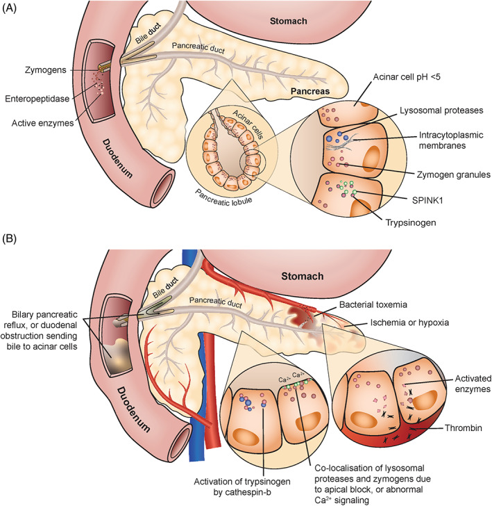 FIGURE 1