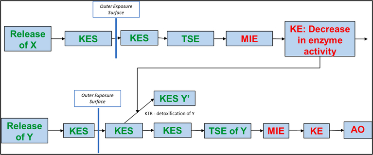 Fig. 5.