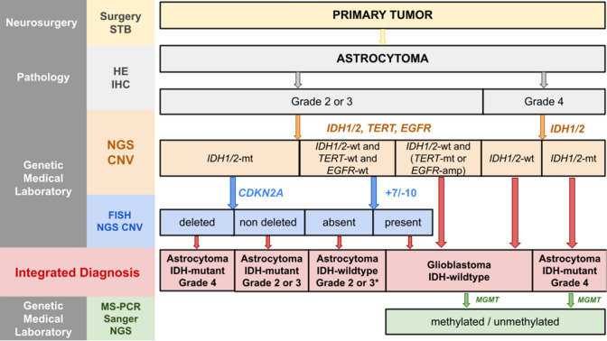 Fig. 8