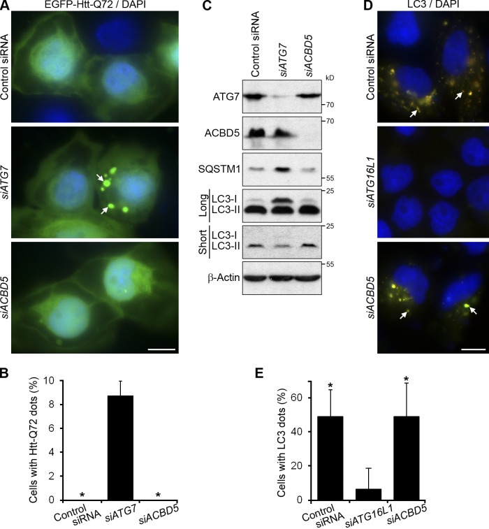 Figure 10.