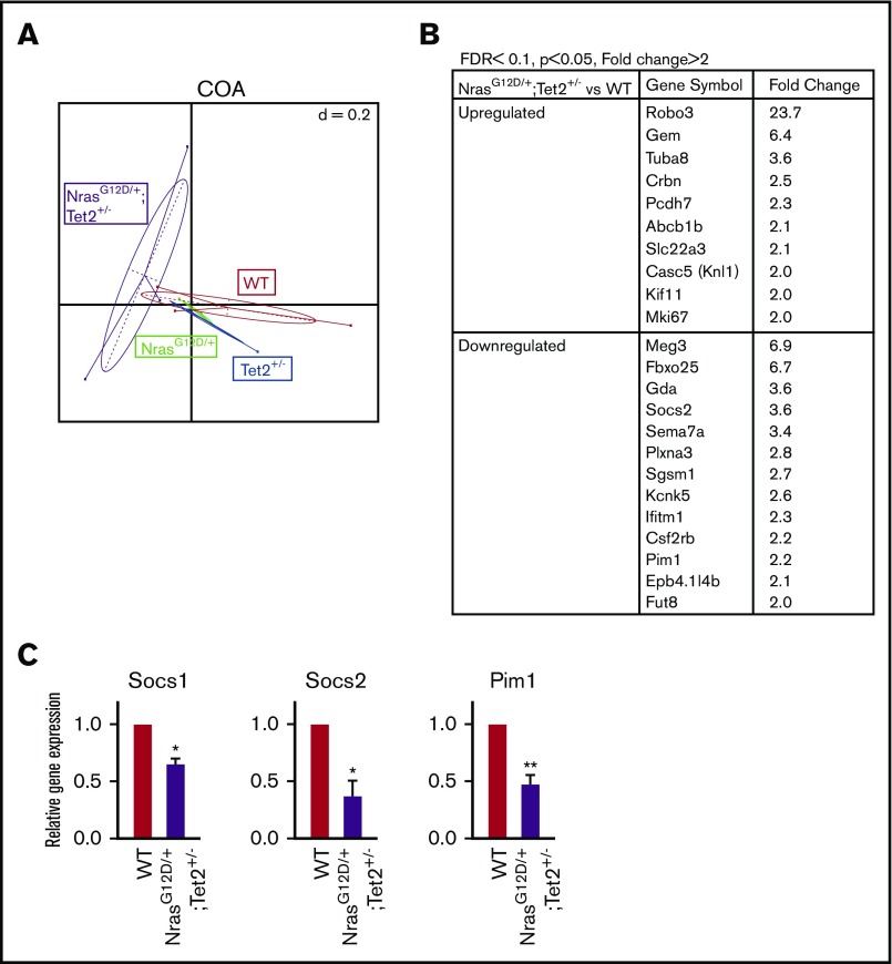 Figure 6.