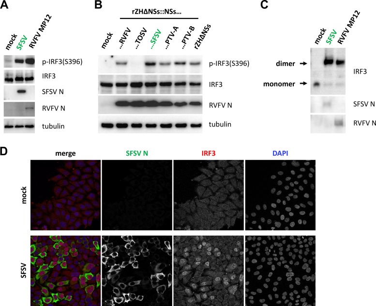 FIG 6