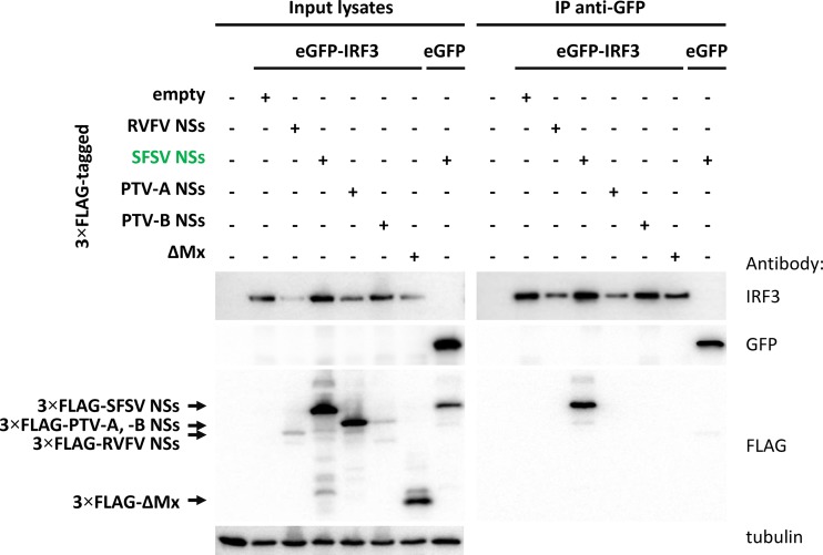 FIG 4