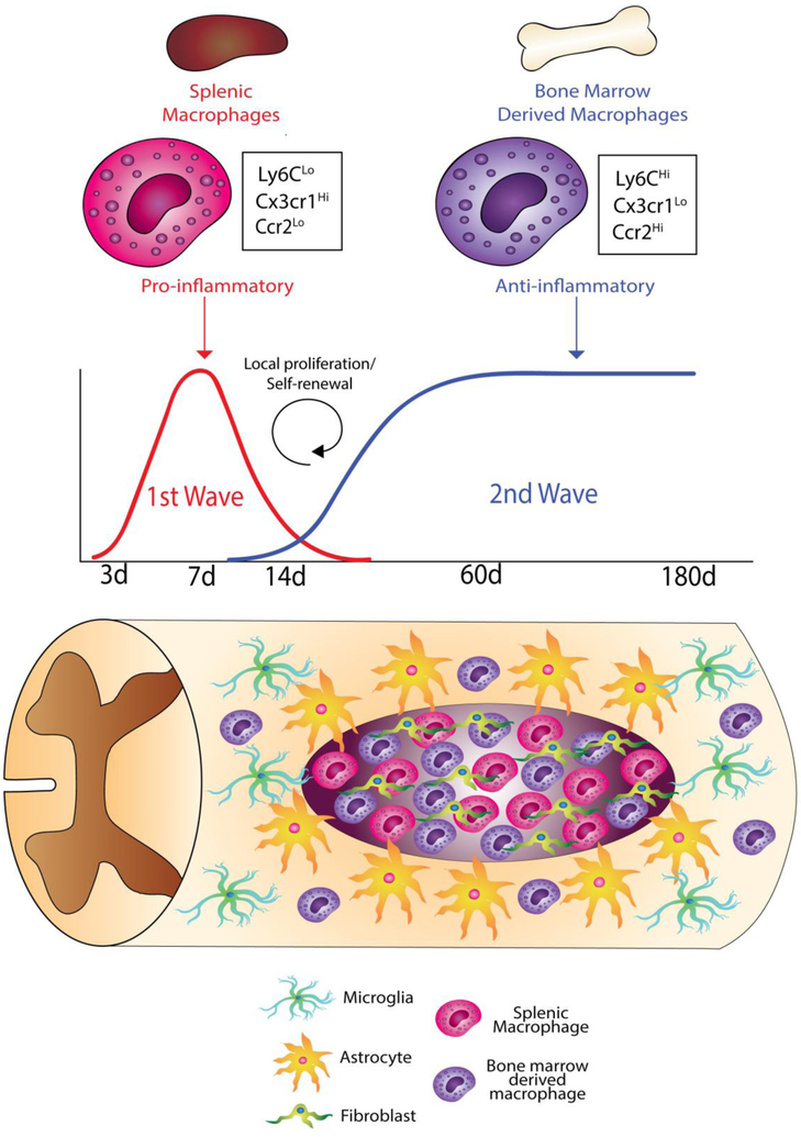 Figure 2: