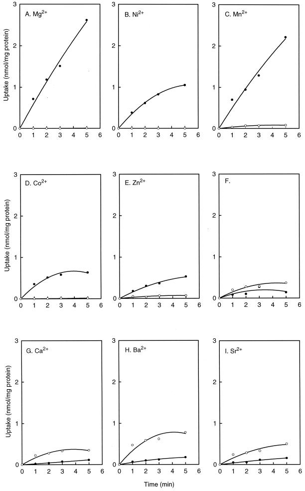 FIG. 1