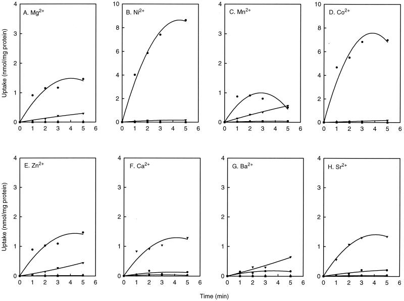 FIG. 3