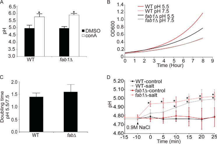 FIGURE 6.