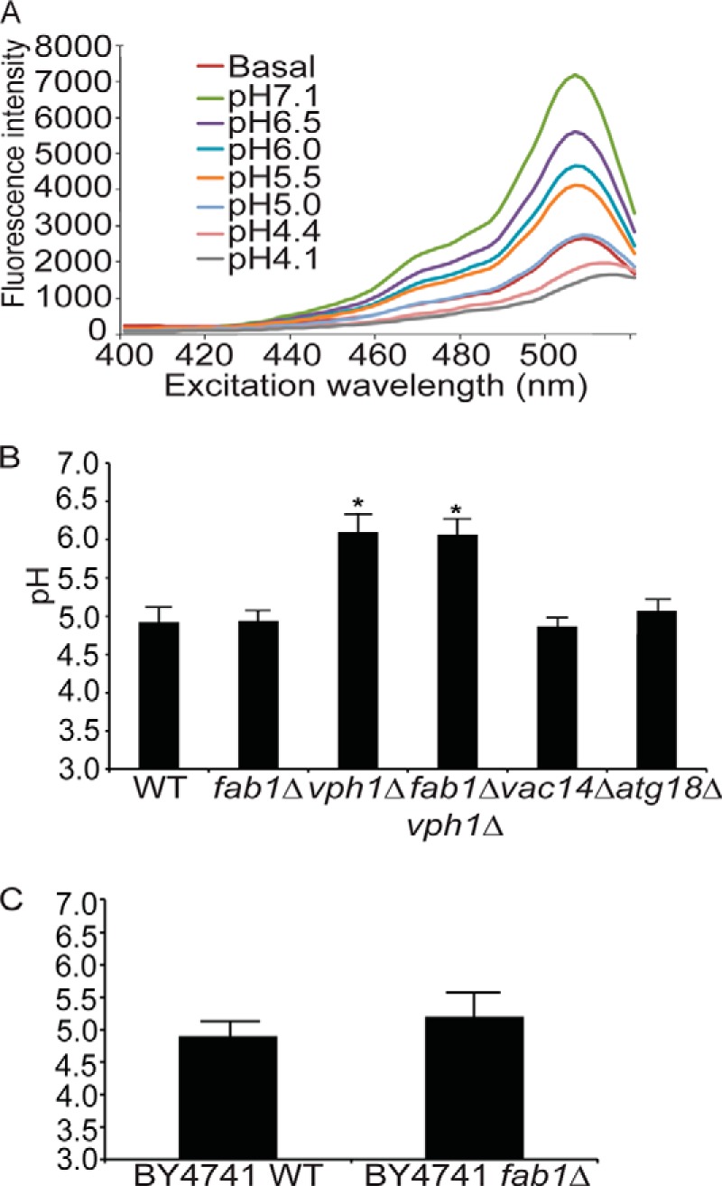 FIGURE 5.