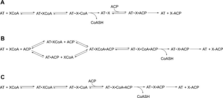 Scheme 2