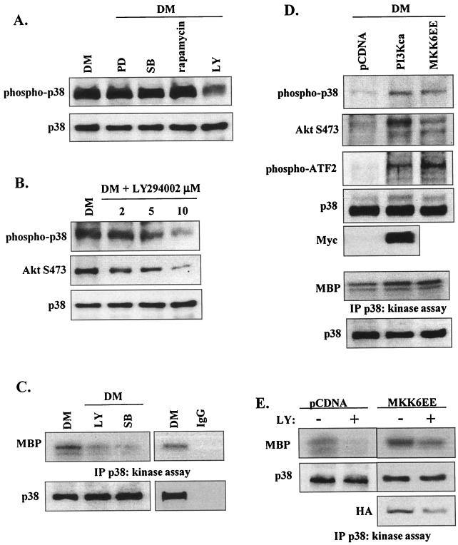 FIG. 10.