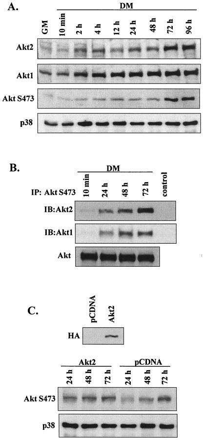 FIG. 7.