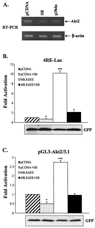 FIG. 9.