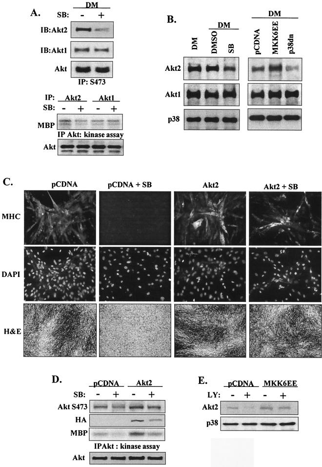 FIG. 8.