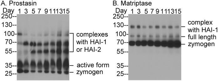 Fig 5