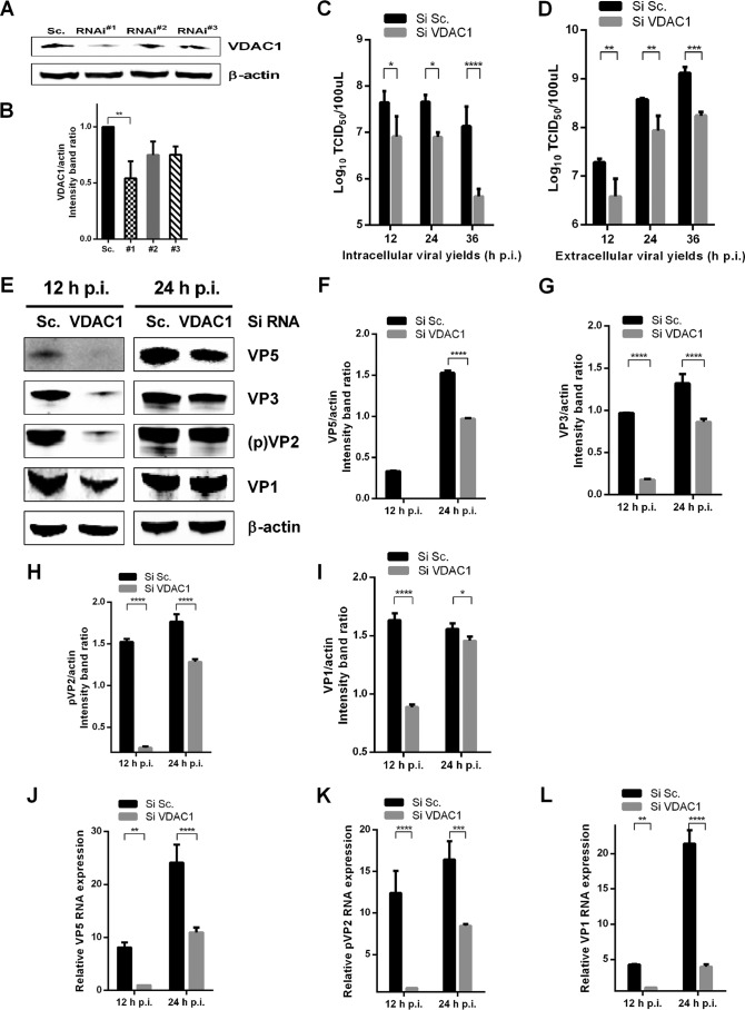 FIG 2