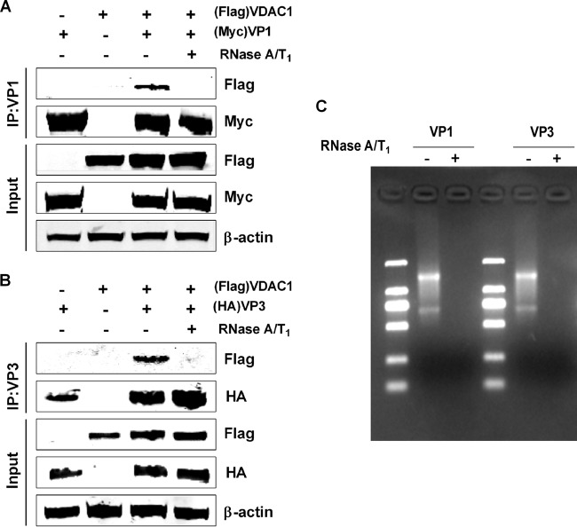 FIG 4