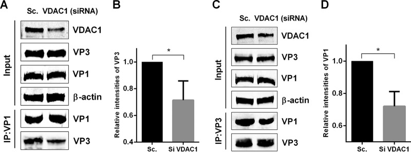 FIG 6