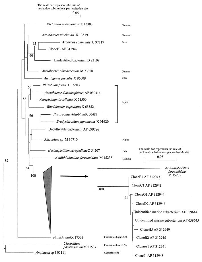 FIG. 6