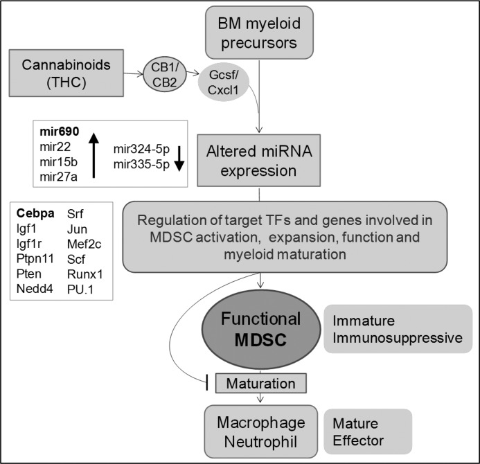 FIGURE 11.