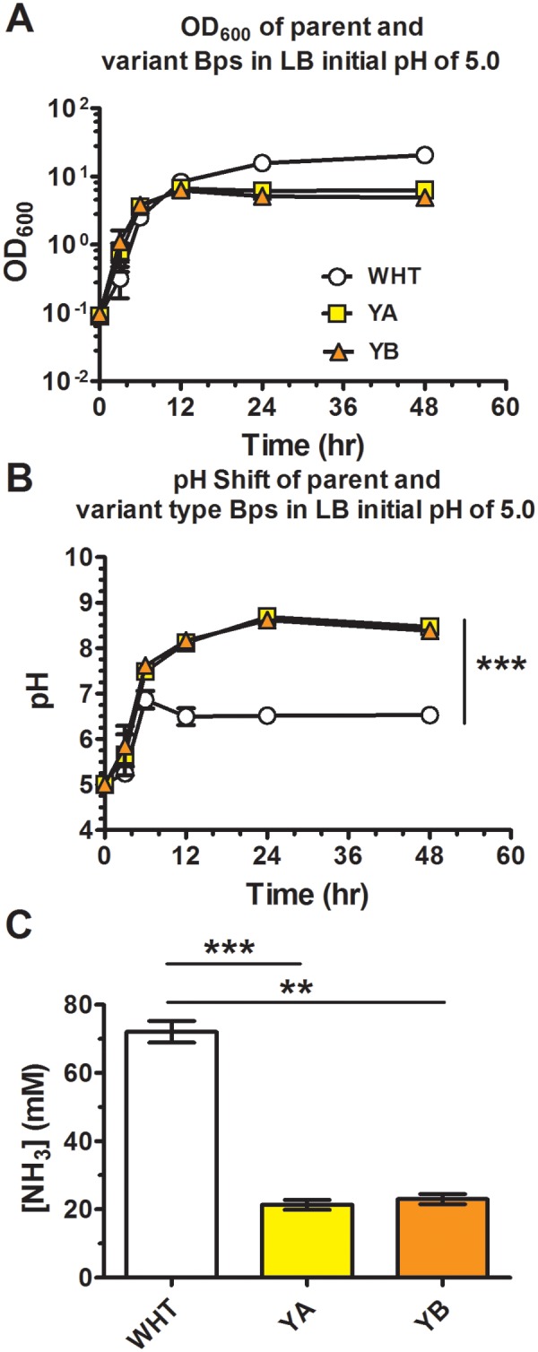 FIG 4 