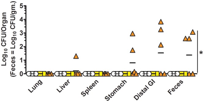 FIG 6 