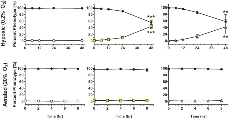 FIG 3 