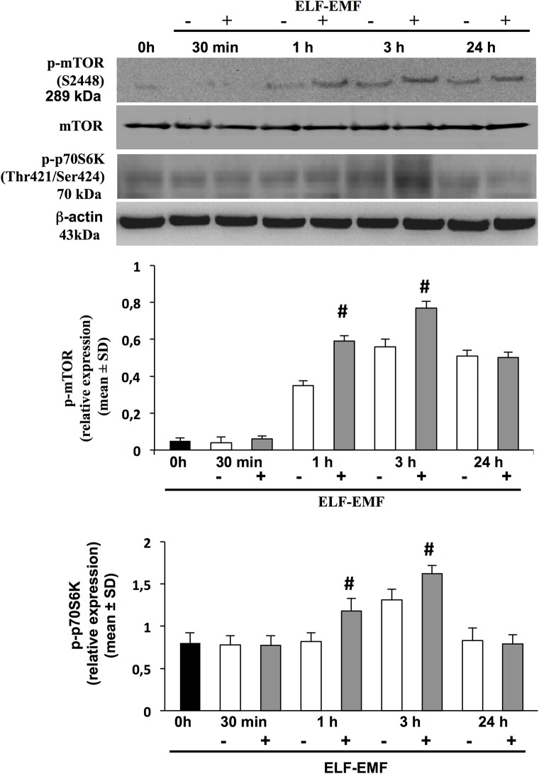 Fig 5