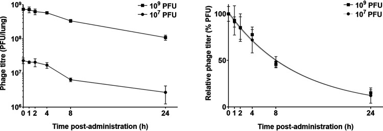 FIG 3