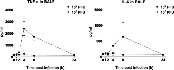 FIG 5