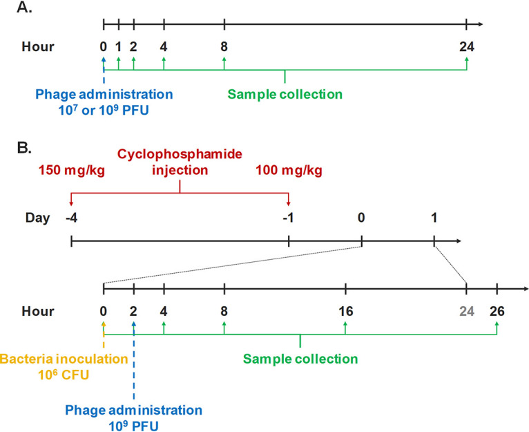 FIG 1