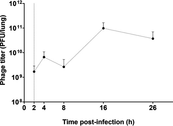 FIG 7