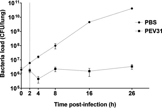 FIG 6